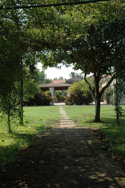 Azienda Agrituristica Seliano 파이스툼 객실 사진