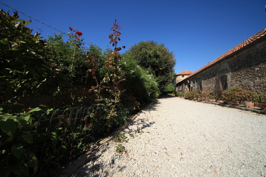 Azienda Agrituristica Seliano 파이스툼 외부 사진